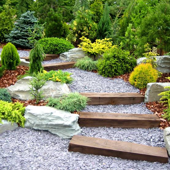 Illustration of a tidy landscaped yard with trimmed hedges