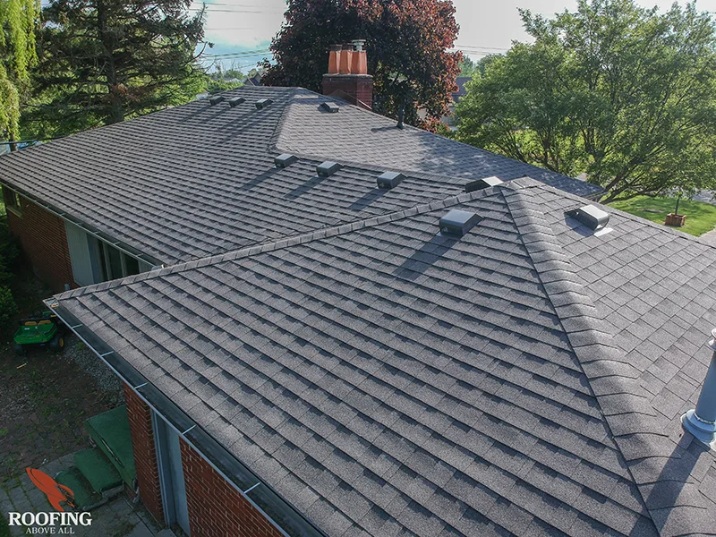 Illustration of well-kept residential rooftops